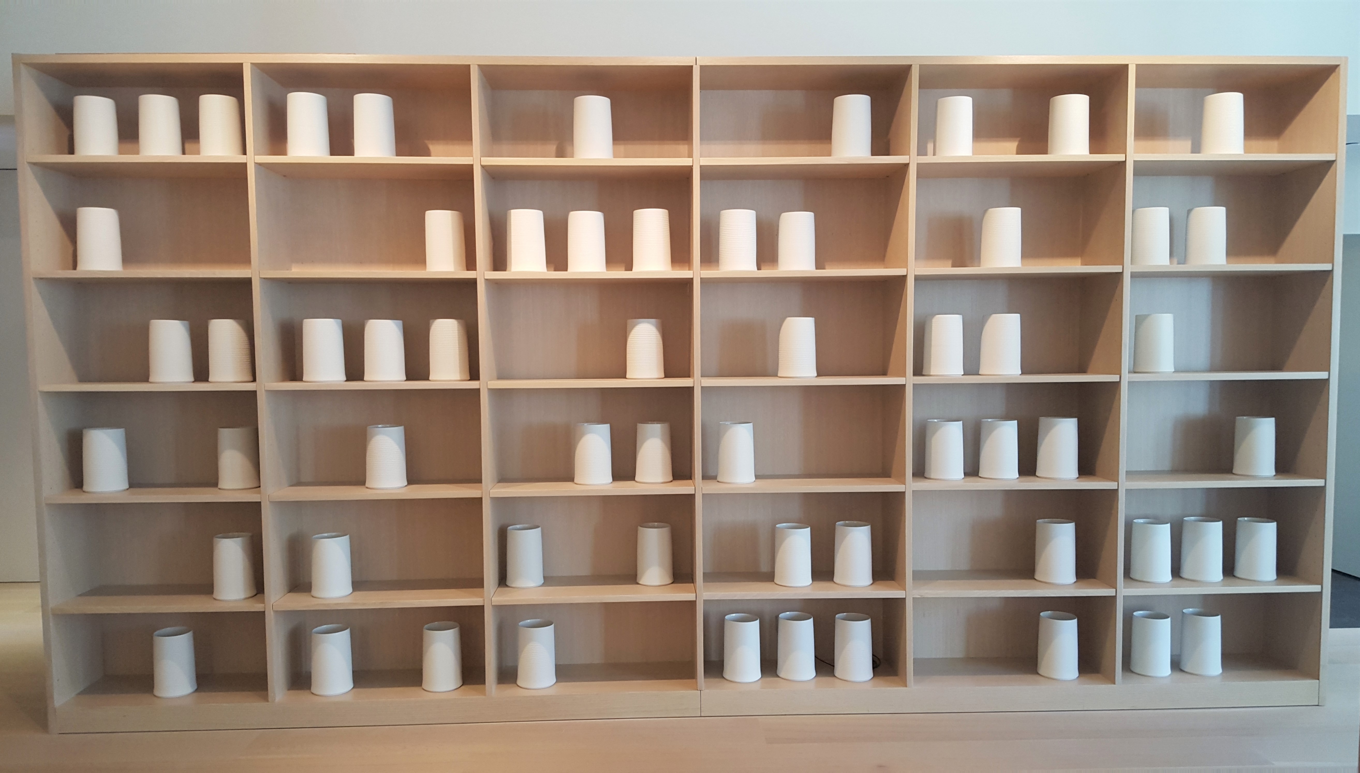 100shelves